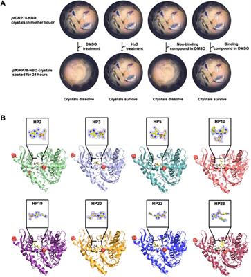 A non-traditional crystal-based compound screening method targeting the ATP binding site of Plasmodium falciparum GRP78 for identification of novel nucleoside analogues